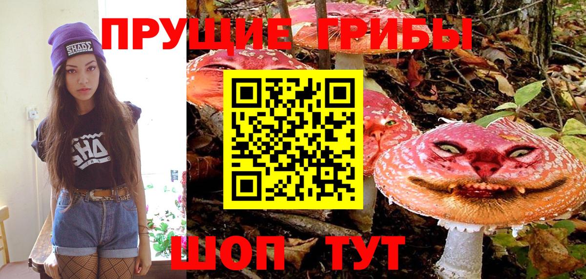 Псилоцибиновые грибы Magic Shrooms Михайловск